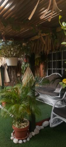 una camera da letto con un letto e una pianta in vaso di Tropical 2 a La Hondonada
