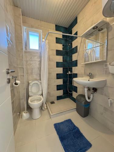 a bathroom with a toilet and a sink and a shower at Vila Amante in Gornja Toplica
