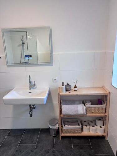 a bathroom with a sink and a mirror at Hügelland Apartment in Elxenbach
