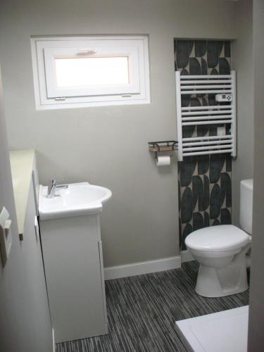a bathroom with a toilet and a sink and a window at Le Cosy Nid in Leyme