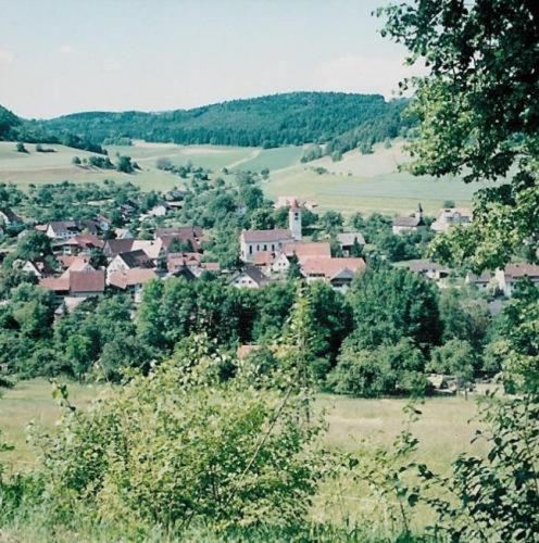 a town in the middle of a field with trees at Gasthaus Schwanen & Villa Pfarrhus in Stühlingen