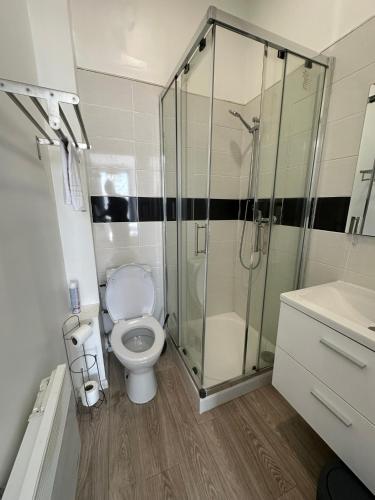 a bathroom with a toilet and a glass shower at Studio avec vue sur le Château in Azay-le-Rideau