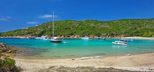 a group of boats docked in the water on a beach at ZEcamping 3 étoiles animaux acceptés in Sartène
