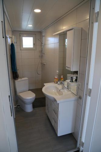 a bathroom with a sink and a toilet at Ferienbungalow Strandluft in Loissin