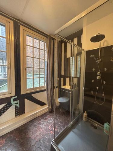 a bathroom with a shower and a toilet and a window at L'écrin Beauvoisine - Rouen Hyper Center in Rouen