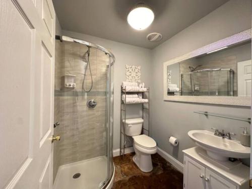 a bathroom with a shower and a toilet and a sink at Haven at Hazel~Downtown Bungalow in Demorest