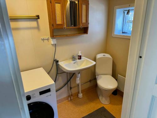 a small bathroom with a sink and a toilet at Haga gård och Stall in Herräng