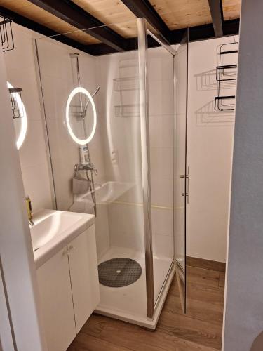 a bathroom with a shower and a sink at Beatrice's gardens in Nivelles