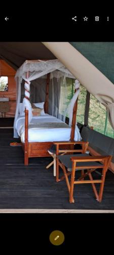 a bed and a chair under a tent at Mara gause hoise in Mara Simba
