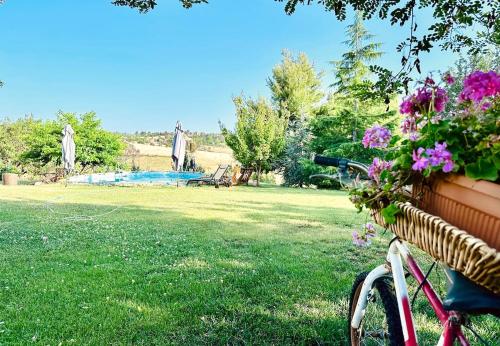 a pink bike parked in a yard with flowers at Mountain pool house in Varnávas