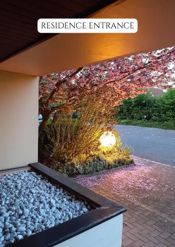 2 Soundproof Fully Equipped Studios near Geneva Airport