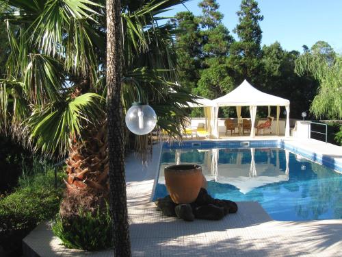 a pool with a gazebo and a palm tree at Quinta do Rossio, Rural Tourism in Biscoitos