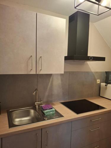 una cucina con lavello e piano di lavoro in acciaio inox di Villa Clara a La-Roche-en-Ardenne