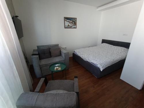 a bedroom with a bed and a couch and a chair at Apartmani Planinski Bor in Divčibare