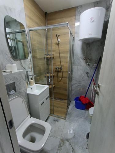 a bathroom with a shower and a toilet and a sink at Apartmani Planinski Bor in Divčibare