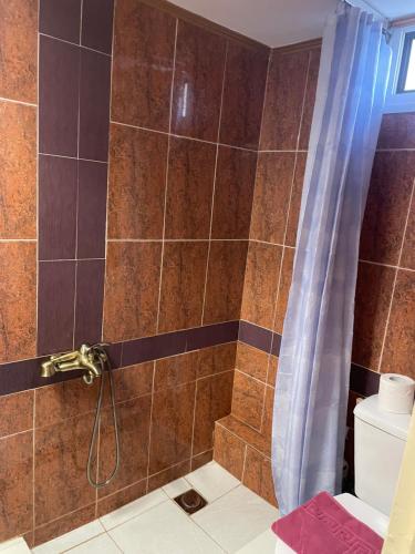 a bathroom with a shower with a shower curtain at Serres central house in Serres