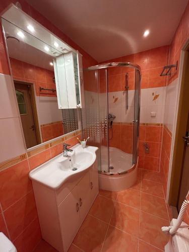 a bathroom with a sink and a shower at Aparmán Na Divoké Orlici in Orlické Záhoří 