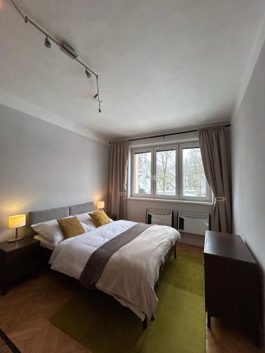 a bedroom with a large bed and a window at Aparmán Na Divoké Orlici in Orlické Záhoří 