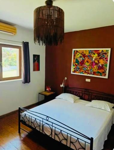 Llit o llits en una habitació de Amigo bay