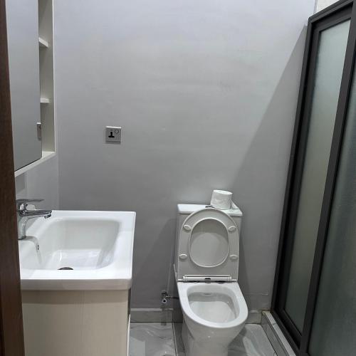 un bagno bianco con un water e un lavandino di DUPLEX 2 bedrooms a Madina