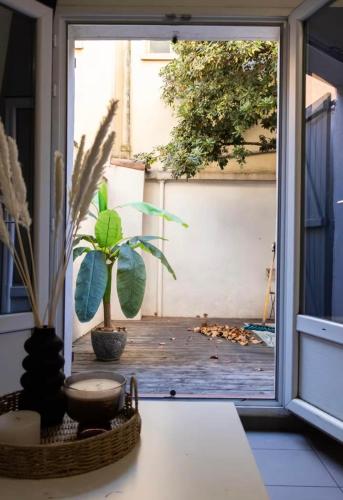 La terrasse en coton