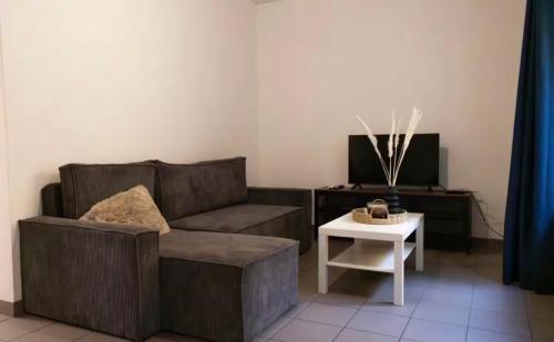 Appartement 4 personnes avec terrasse proche vélodrome et centre