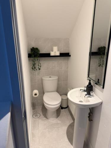 a small bathroom with a toilet and a sink at Beautifully Designed Pollok House in Glasgow