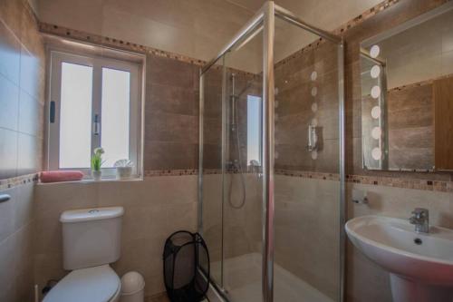 a bathroom with a shower and a toilet and a sink at The Terrace in Xgħajra