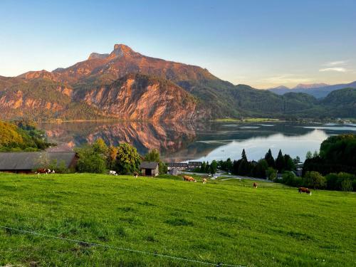 a green field with a view of a lake and mountains at Mondseeblick Apartment KG in Innerschwand
