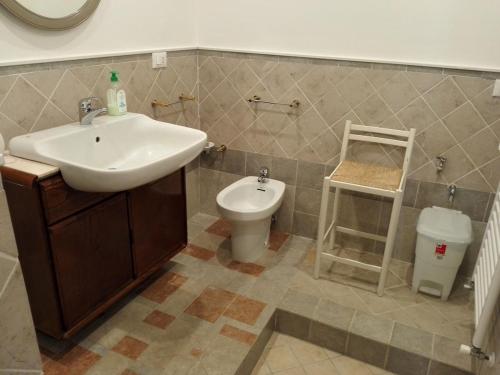 a bathroom with a sink and a toilet at Palazzo Brigido Apartment in Trieste