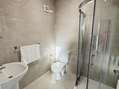 a bathroom with a toilet and a sink and a shower at Pier House Luxury Apartment in Dingle