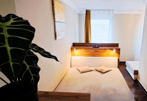 a room with a bed and a plant in it at Indira Vendégház in Nyíregyháza