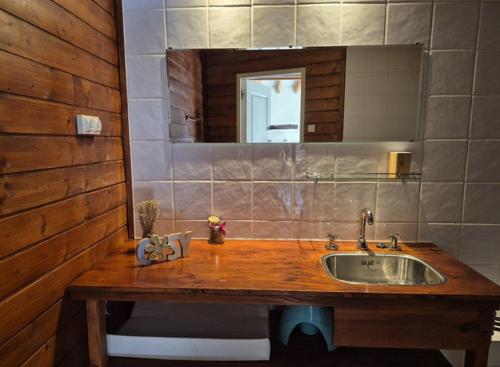 a bathroom with a wooden sink and a mirror at Gîte Marie, Beynat, Corrèze in Beynat