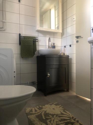 a bathroom with a sink and a toilet and a mirror at Schwedisches Waldcottage Fluss & Wanderwege in Fristad
