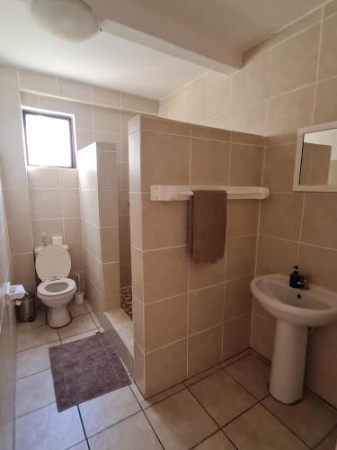 a bathroom with a toilet and a sink at Planet Scuba Bed and Breakfast in Ponta do Ouro