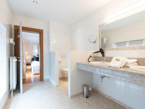 a bathroom with a sink and a toilet and a mirror at Gîte du Vieux Moulin in Rochefort