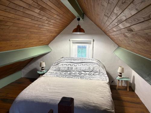 a bedroom with a large bed in a attic at Appartement 4 personnes - Laruns in Laruns