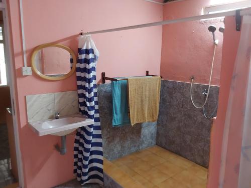 a bathroom with a sink and a shower at mango guest house in La Ferme