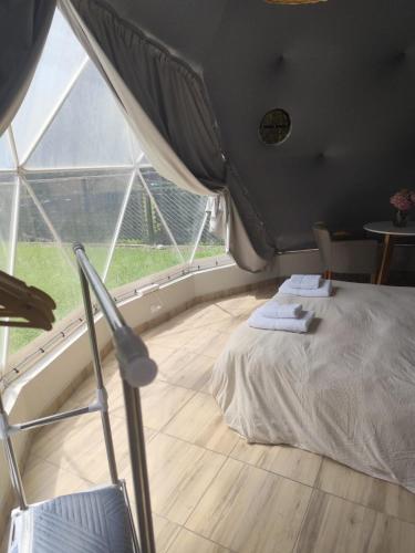 ein Schlafzimmer mit einem Bett in einem Zimmer mit Fenster in der Unterkunft Glamping Vaqueros in Vaqueros