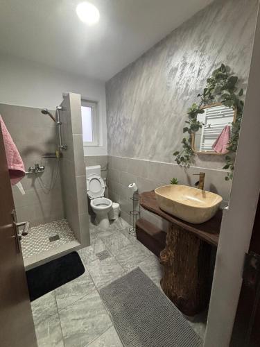 a bathroom with a sink and a toilet at Eva House in Ciocăneşti