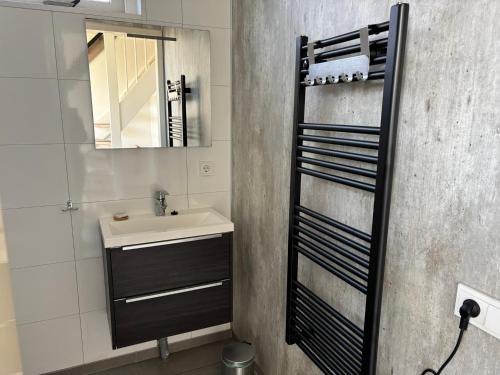 a bathroom with a sink and a mirror at De Rakken in Woudsend