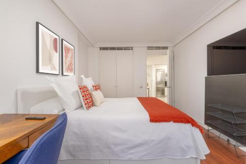 Stylish and Bright Flat in Salamanca District