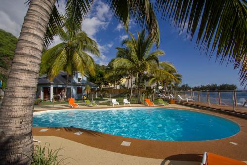 - une piscine avec des chaises et un palmier dans l'établissement Leu Pied Dans L'Eau, à Saint-Leu