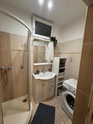 a bathroom with a shower sink and a washing machine at Ubytování v centru Ostravy in Moravská Ostrava