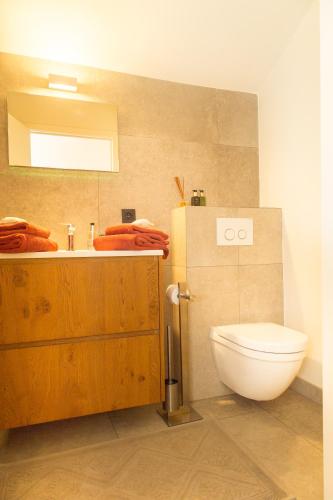 a bathroom with a toilet and a sink at Guesthouse De Vliere in Beerse