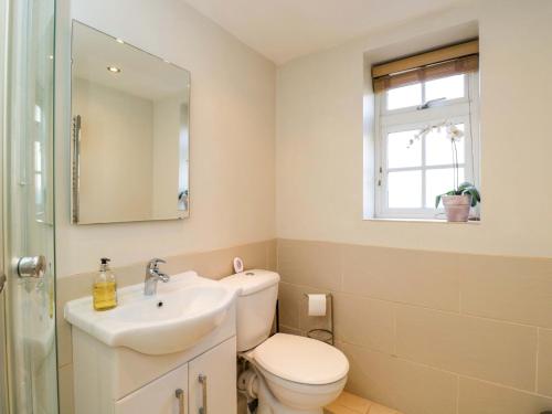 a bathroom with a toilet and a sink and a mirror at The Barn at Myrtle Cottage in Marlborough