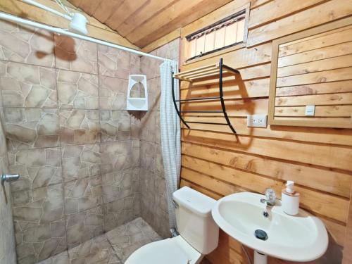 a bathroom with a white toilet and a sink at Cabaña Ardilla Corralillo in Corralillo