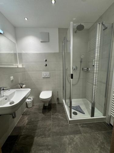 a bathroom with a shower and a toilet and a sink at Küffner Hof in Langenbeutingen