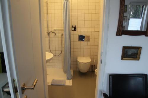 a bathroom with a shower and a toilet and a sink at Zimmer am Ring - ruhiges Zimmer im Grünen, Frühstück auf eigener Terrasse mit Morgensonne und fußläufig zum Badeplatz Schwarzindien am Mondsee in Sankt Lorenz