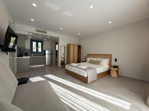 a large bedroom with a bed and a kitchen at Ampelitis Studios Lemnos in Agios Ioannis Kaspaka
